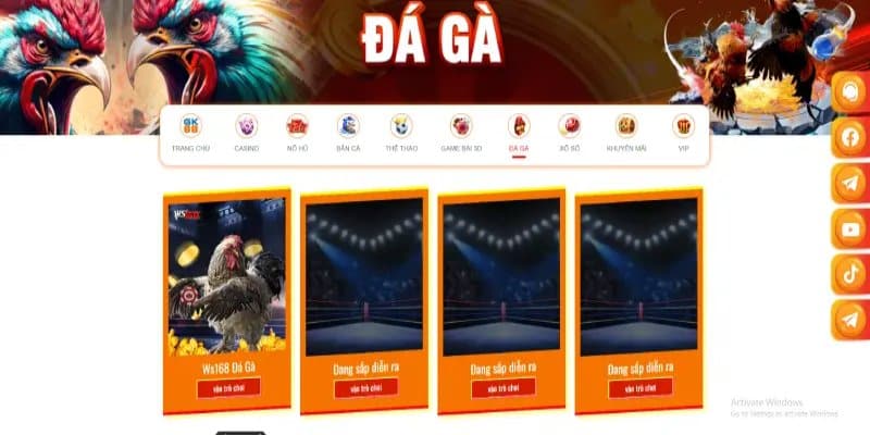 Các trận đấu đá gà GK88 được tổ chức đến từ những trường gà nổi tiếng